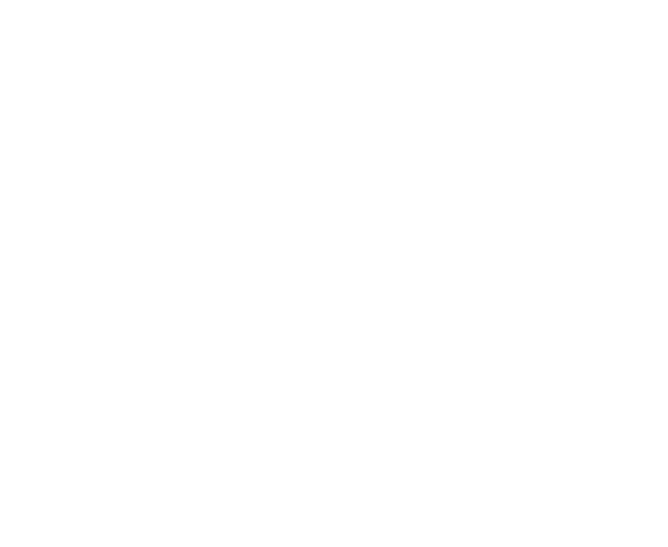 Efegaz Vaillant Nazilli